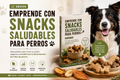 Emprende con Snacks Saludables para Perros